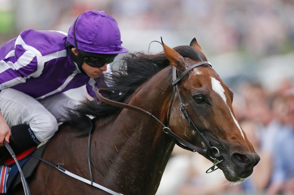  Highland Reel is a 7-4 shot for King George