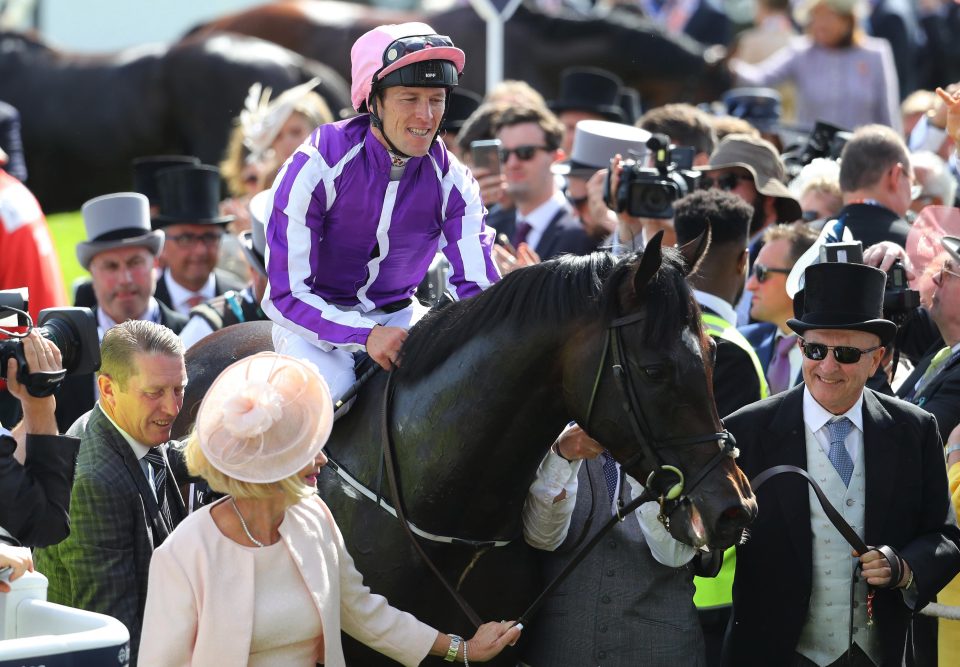  Epsom Derby winner Wings Of Eagles has been retired due to injury