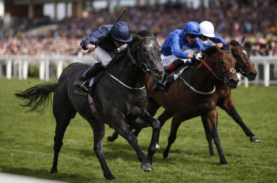  Caravaggio (left) could head to France next