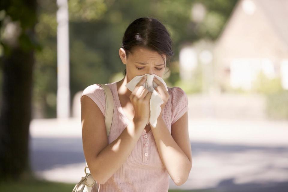  48 per-cent of those aged between 16 and 24 suffer from hay fever (Picture posed by model)