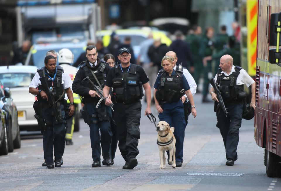  Sniffer dogs join cops as they pour into the London Bridge area of the capital