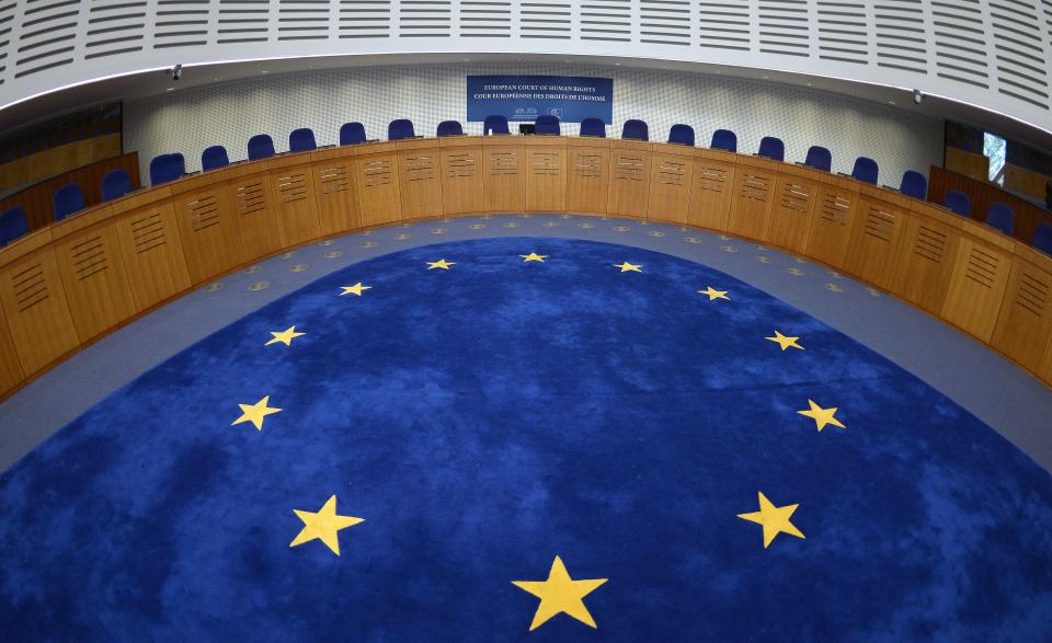  The European Court of Human Rights, pictured, is the tot's last hope (File image)