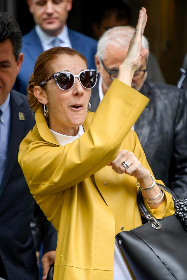  Celine's was snapped wearing this yellow number last summer