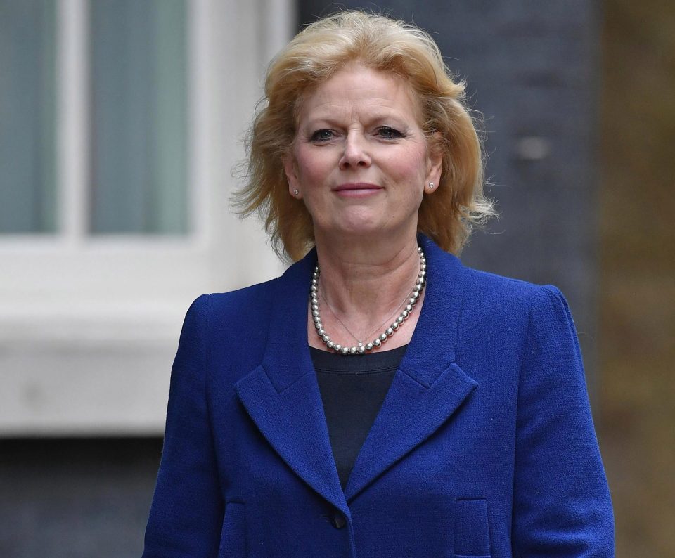  Anna Soubry will speak at the launch of a new anti-Brexit campaign group