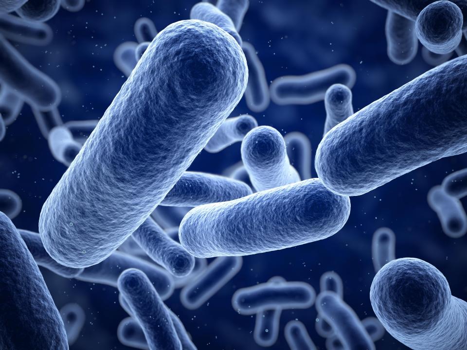  Pseudomonas aeruginosa is a type of bacteria that can cause infection in people whose immune systems are already down and is most commonly associated with hospital-acquired infections