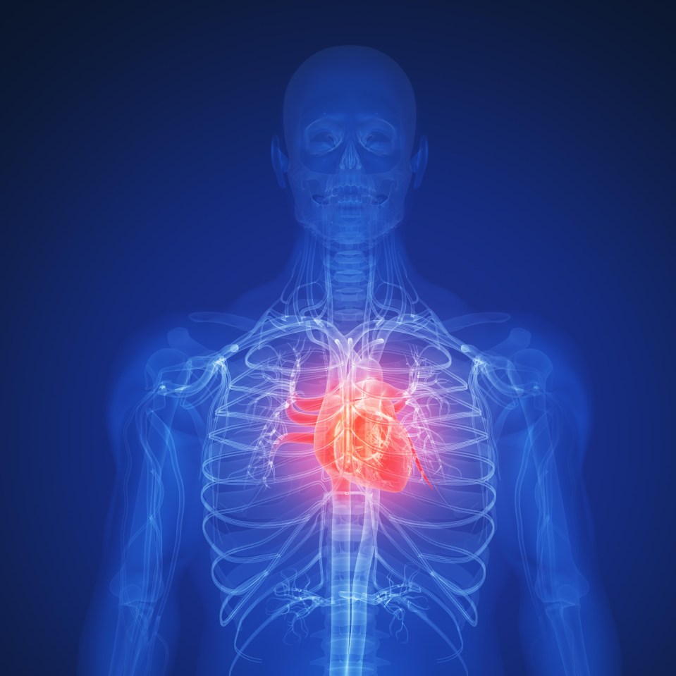 Saturated fat raises your cholesterol and increases your risk of clogged arteries and heart disease