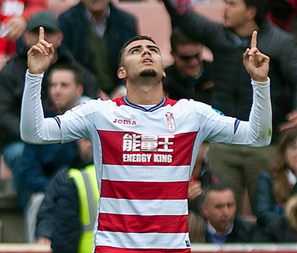 Andreas Pereira will be given a chance to shine on United's pre-season tour of the US