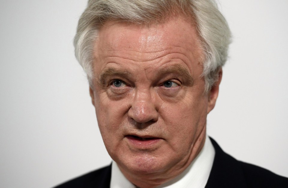 David Davis is also another name in the ring if Theresa May steps down from the Tory leadership