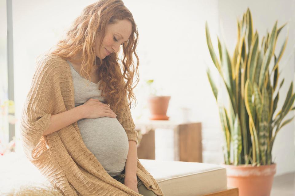  Pregnant women are more likely to be nibbled on, because they exhale 21 per cent more carbon dioxide