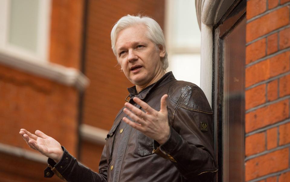  The Wikileaks founder was described as 'sexy' in the strange online letter