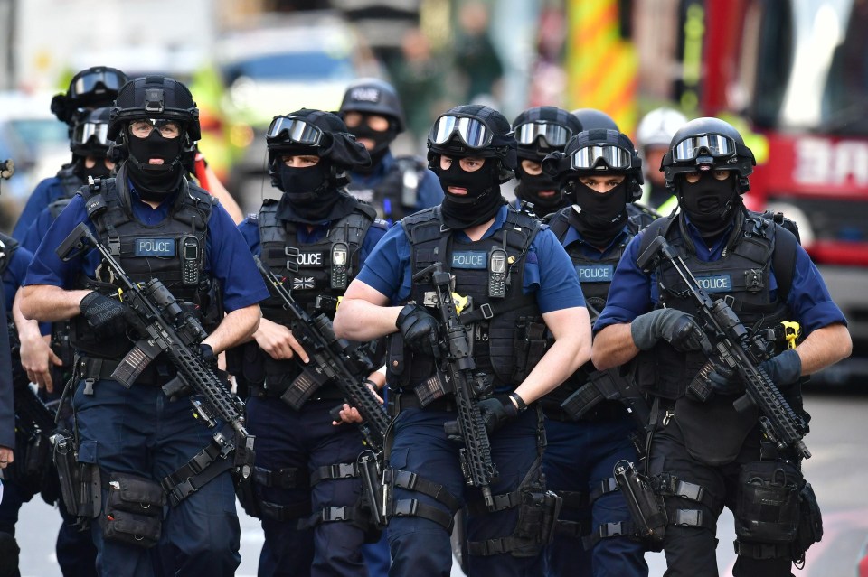 The Met boss called for a review into whether the police can adequately deal with 'low tech' terror attacks