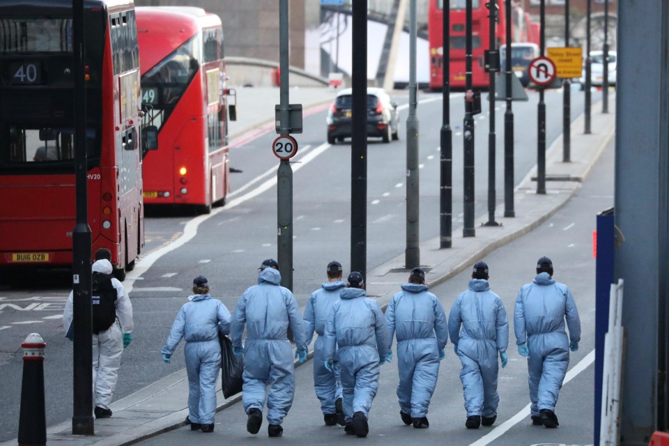 Forensic officers are working across the area