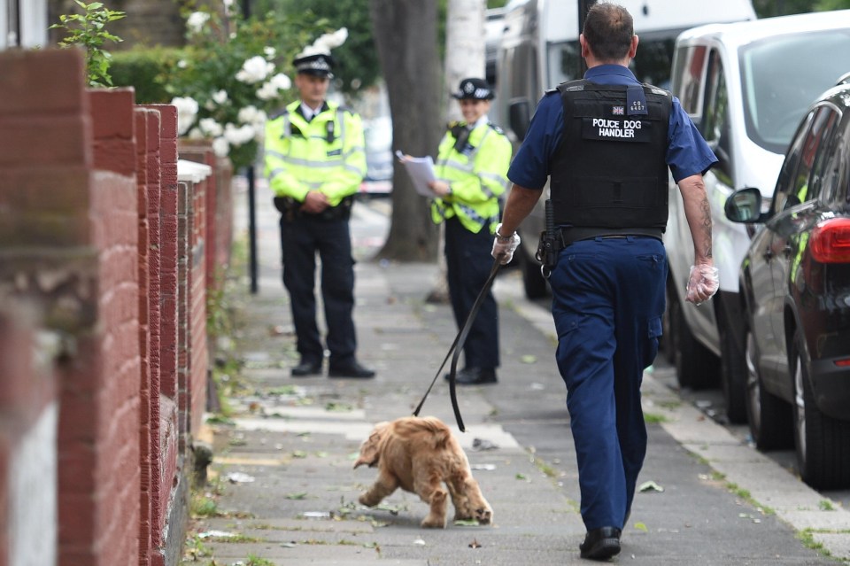 A sniffer dog is brought to a house in East Ham raided by cops