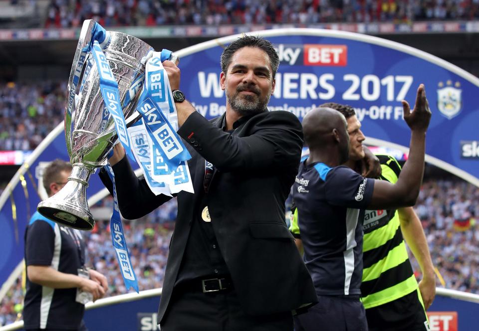  Huddersfield boss David Wagner will have to put together a squad on a limited budget, but wants Wood