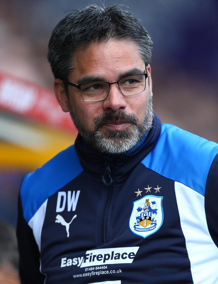  Huddersfield boss David Wagner knows he needs to add strength to his squad for their Premier League season