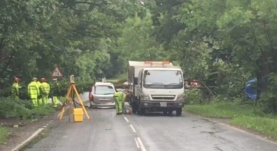 The tree crashed onto the mans car in Odiham, Hants, this morning