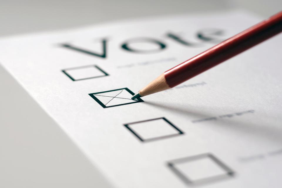  Most people use an X on their ballot papers but is appears you can use almost any symbol to indicate your vote