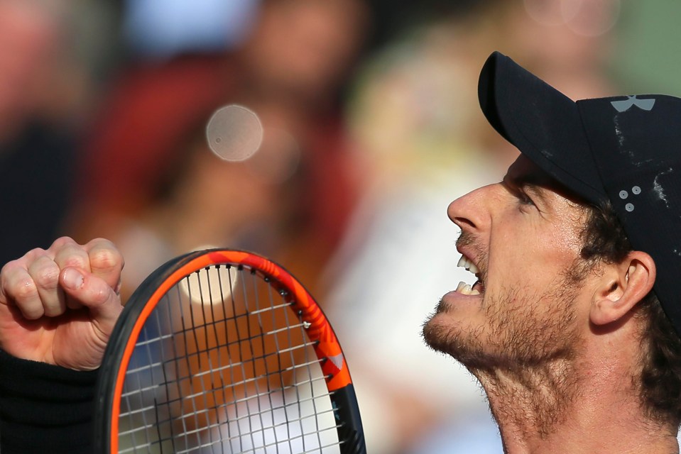 Britain's Andy Murray celebrates winning his quarter final match