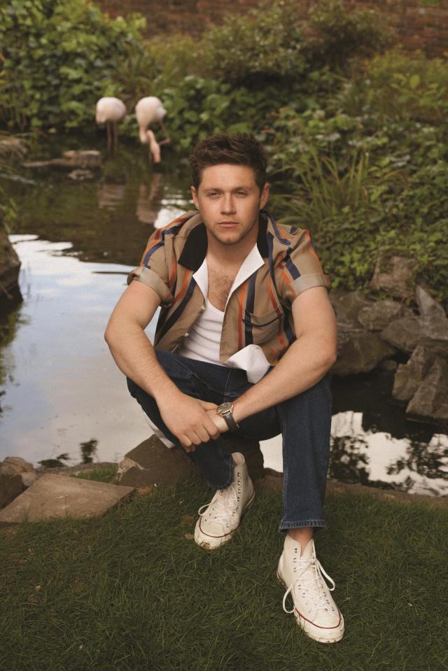  Niall Horan says he has no time to date as he's focusing on his solo career