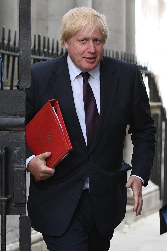  Boris Johnson had been asked by other cabinet members to oust Theresa May, it was reported yesterday