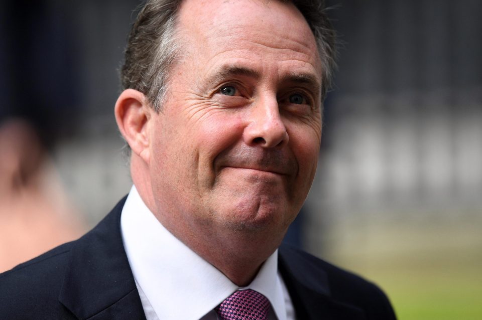  Liam Fox has managed to fight off Cabinet members pushing for a 'softer Brexit'