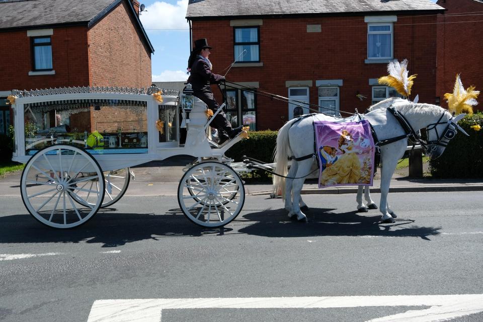  There was a Beauty And The Beast towel draped on the horses at her funeral