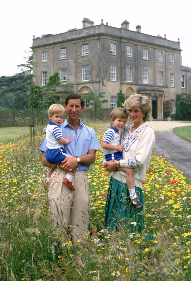  Diana loved being a mum and there are countless photos and videos of her face alight with joy, taking her boys on trips to fun parks and concerts