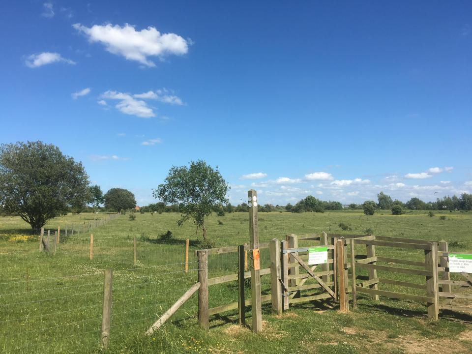  Family beauty spots like Ellenbrook Fields in Hatfield, Herts, were targeted by the group