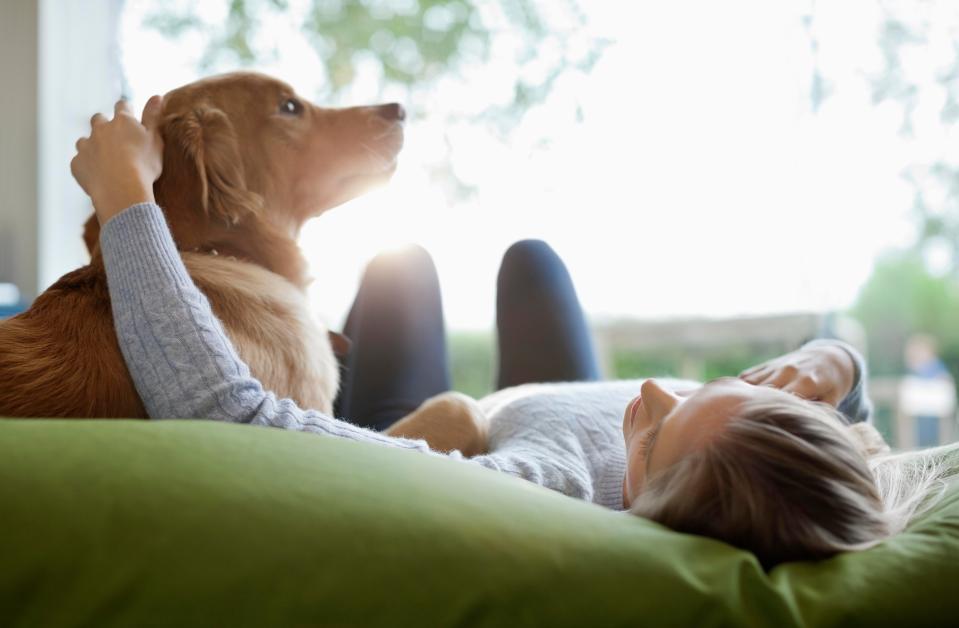  Landlords have warned that new fees cap means that renters could be banned from having pets