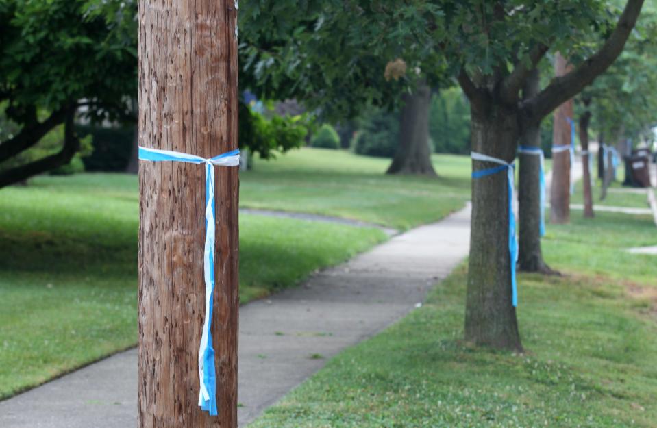  More than 8,000 blue and white ribbons have been tied around trees in Cincinnati in tribute to Otto