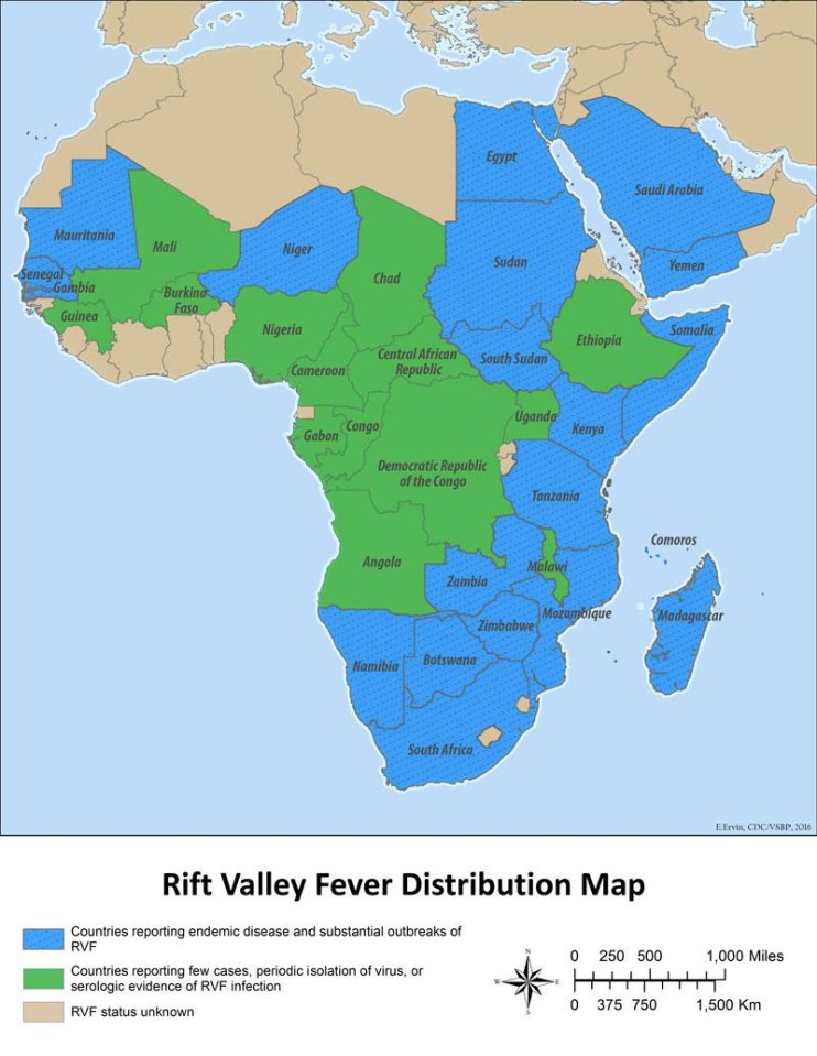 There was a large outbreak in late August of 2016 in Niger. Niger’s Tahoua region reported cases of febrile illness, including hemorrhagic symptoms, in humans, as well sickness and abortions in ruminants