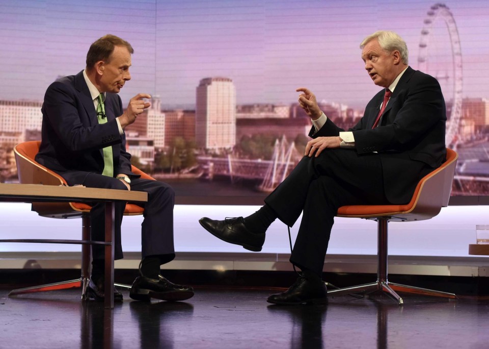 David Davis on The Andrew Marr Show