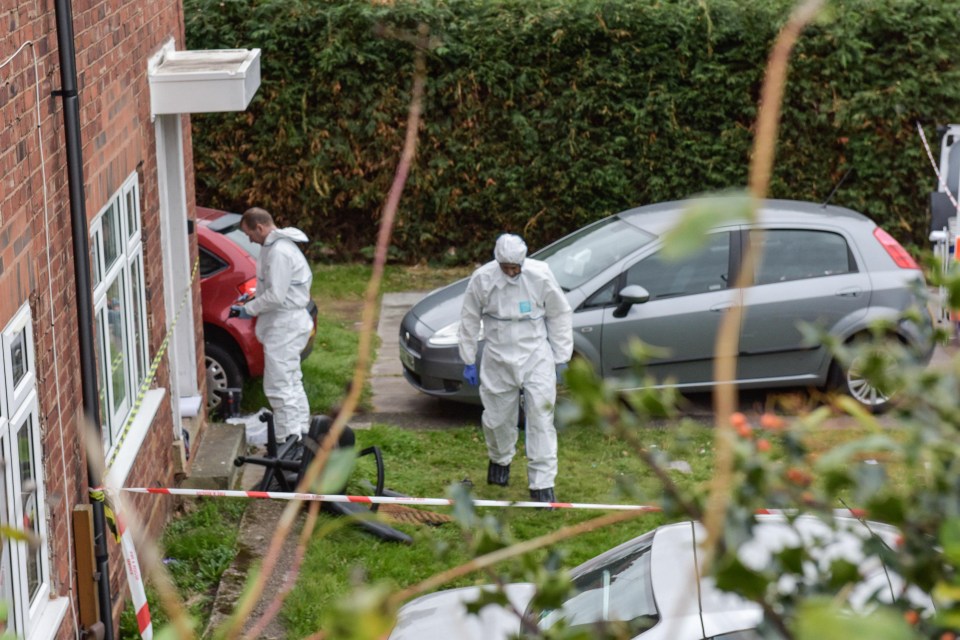 Forensic officers at the scene of their deaths in October