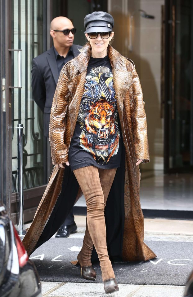  Celine Dion has gone the full Cher when it comes to truly deranged and outlandish outfits