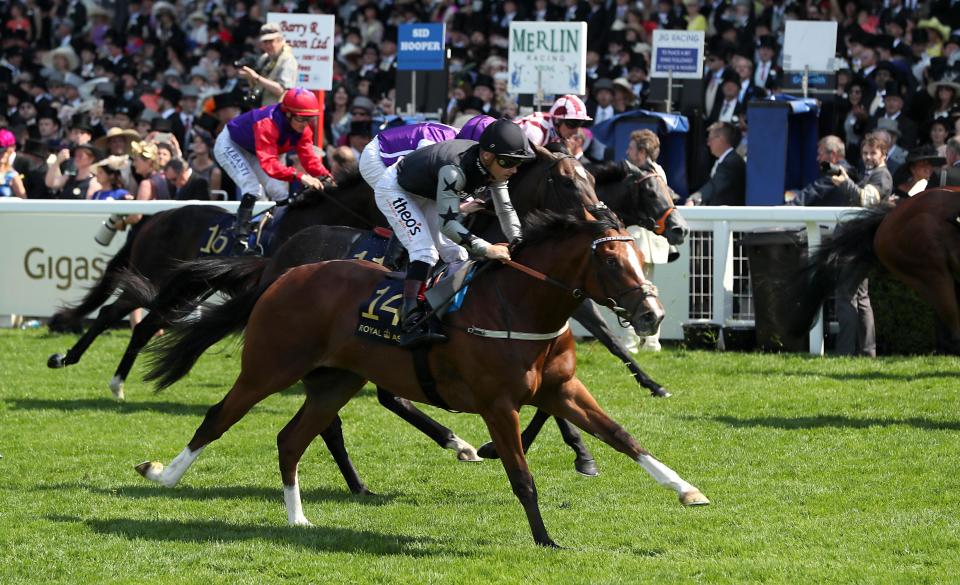  Rajasinghe, trained by Richard Spencer, won the 2017 Coventry Stakes