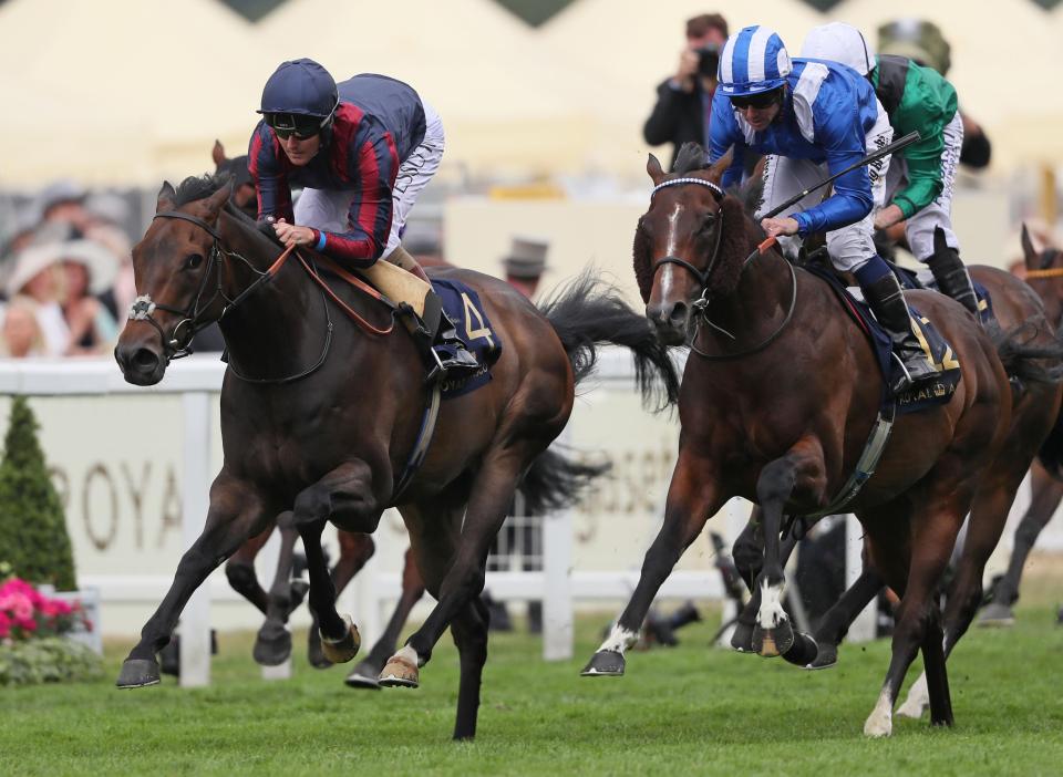  Tasleet's Royal Ascot run shows he can cut it with the best