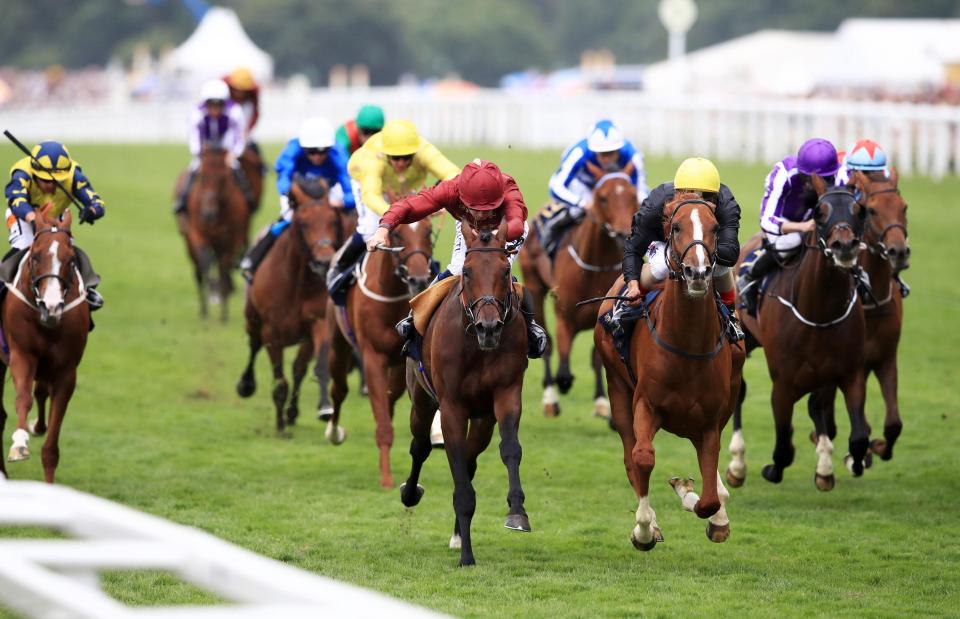  Queen's Vase winner Stradivarius (left, yellow cap) would be an interesting Goodwood Cup challenger