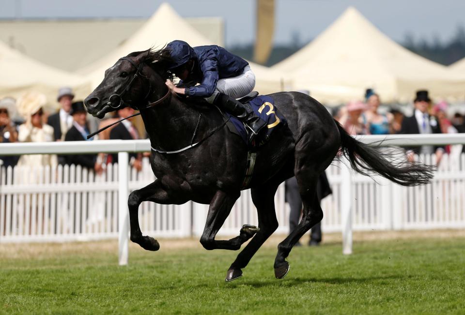  Mr Scarlet has finished behind Caravaggio (pictured) on his last two starts