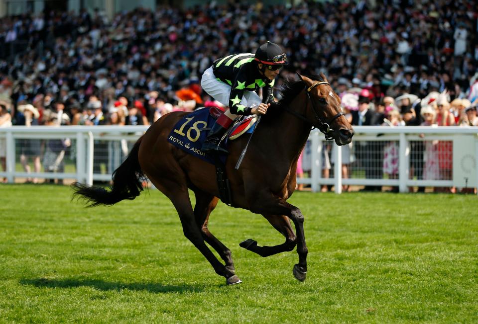  Lady Aurelia is back for more glory