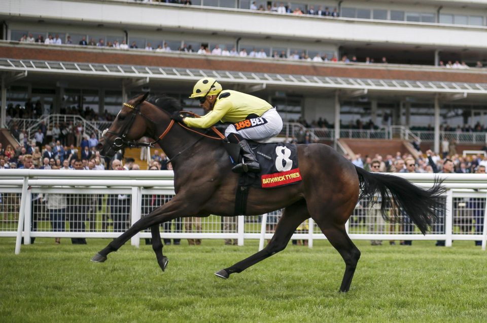  Madeline put in another smart performance at Newbury