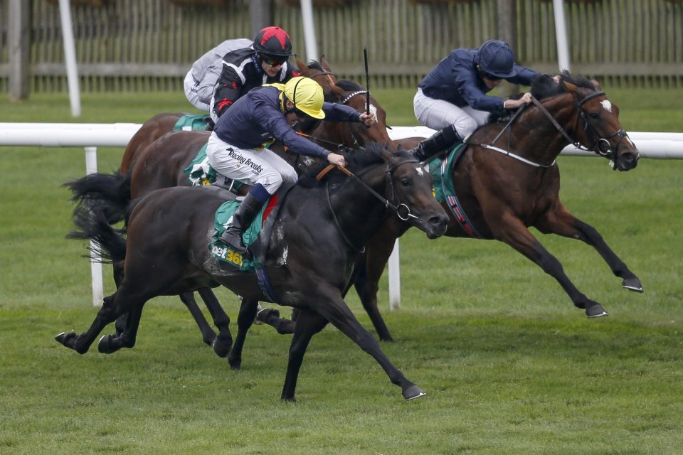  Spencer thinks Gustav Klimt (far side) is the one to beat in the 2000 Guineas