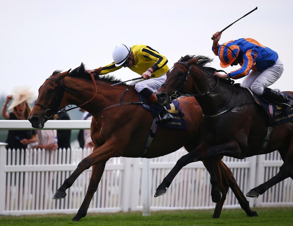  Big Orange sticks his neck out to win the Gold Cup at Royal Ascot