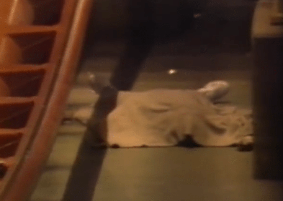  A body lies under a blanket on the floor after the victim was thrown from their carriage to the ground below