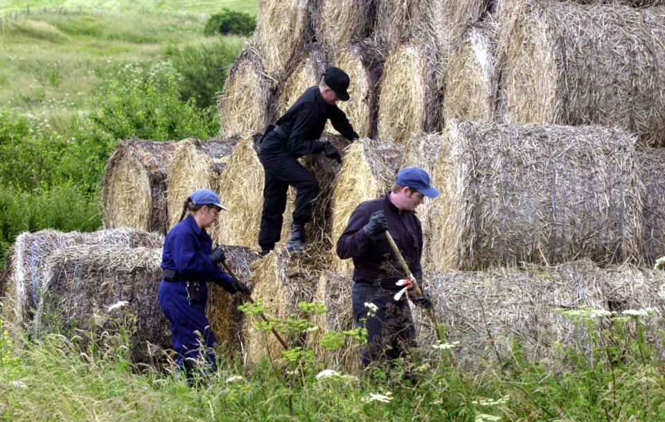 Police and volunteers scoured the Sussex countryside looking for the missing schoolgirl