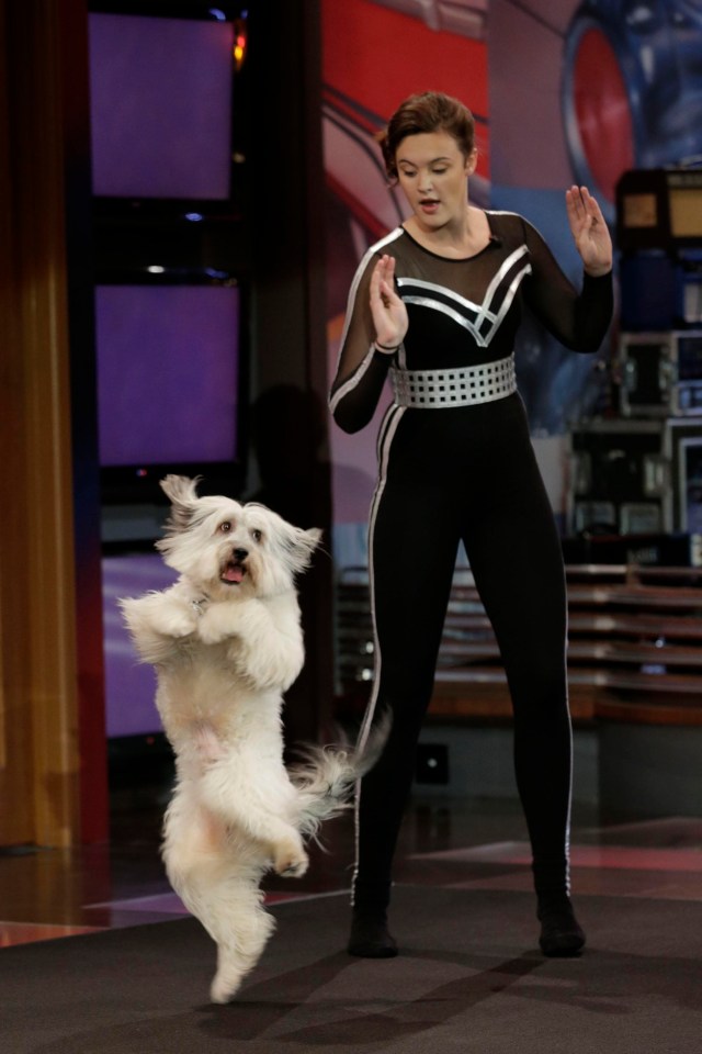 Ashleigh and Pudsey won Britain's Got Talent together in 2012