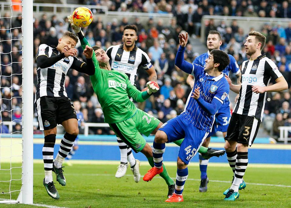  Toon stopped Darlow starred in the promotion push