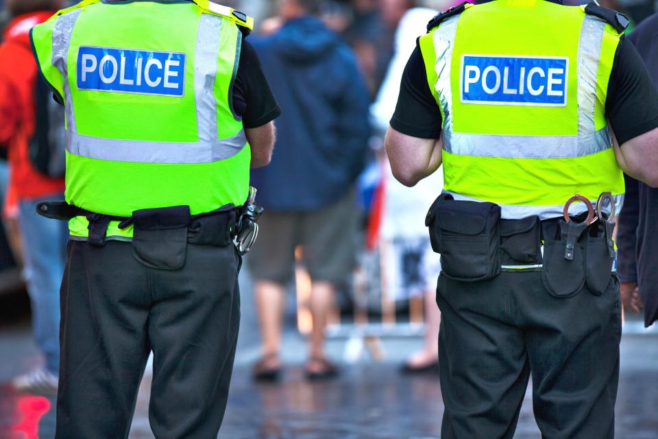  A police chief has called for paedophile hunters to team up with special constables to help track down online groomers