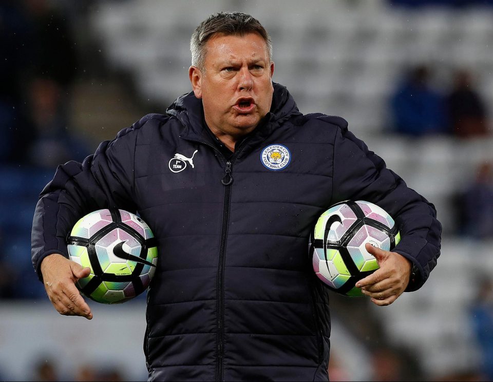  Craig Shakespeare is particularly keen to strengthen the Leicester frontline