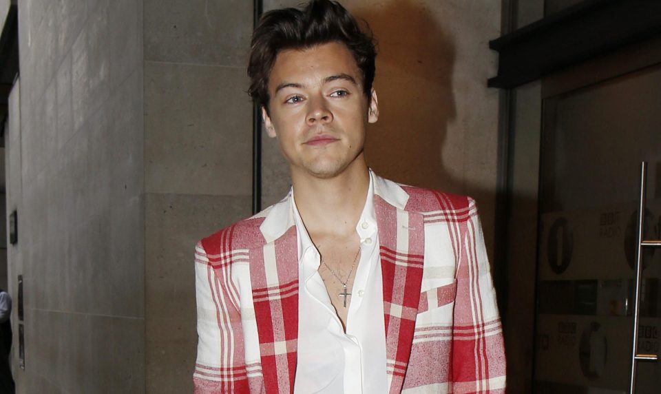  Harry Styles' willy has one of the cheekiest names ever