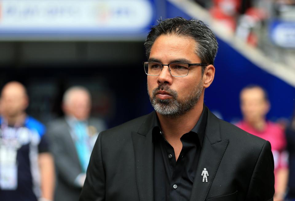  Do not expect Huddersfield boss David Wagner to change his squad-rotating philosophy